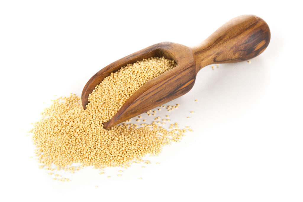 Amaranth grains with wooden scoop.  Another very healthy gluten-free orzo pasta substitute. 