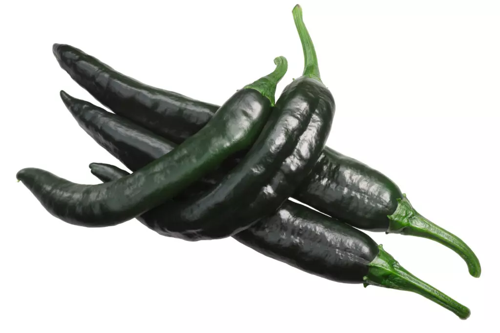 Chilaca pepper group