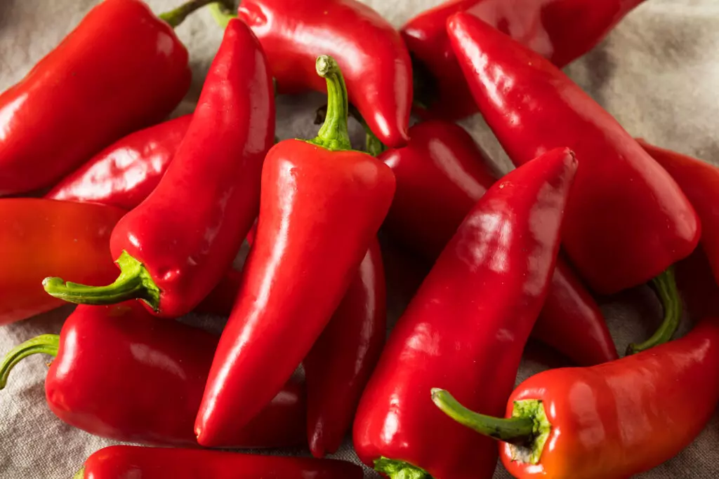 Close up shot of a group of Fresno peppers.  These peppers resemble the look and taste of ripened red jalapeño peppers.