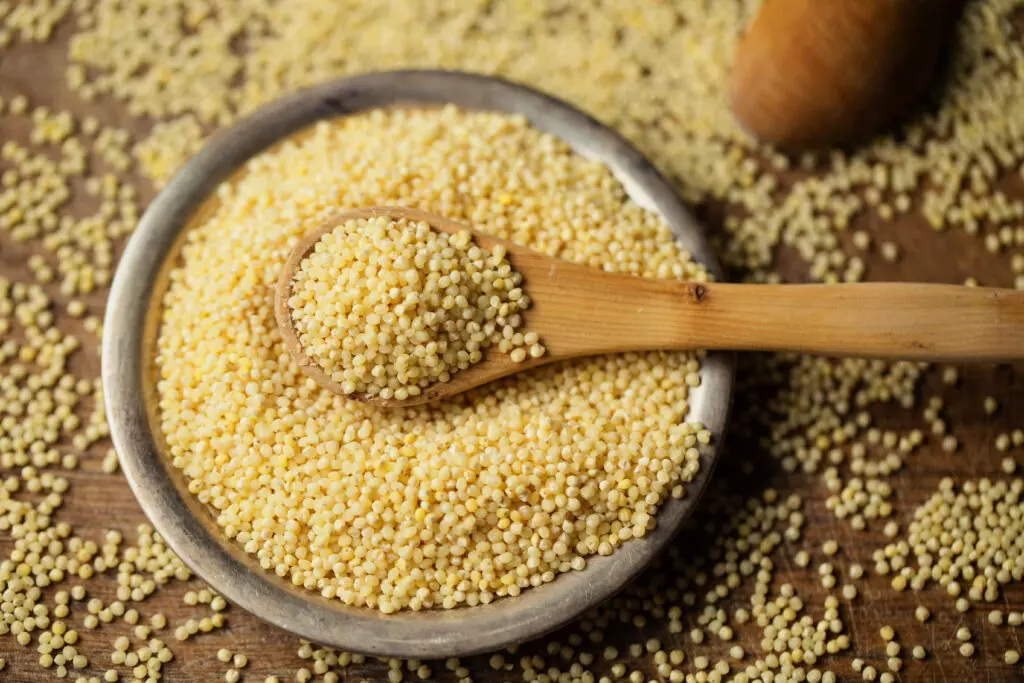 Ball shaped grain called Millet in a bowl with a wooden spoon. 