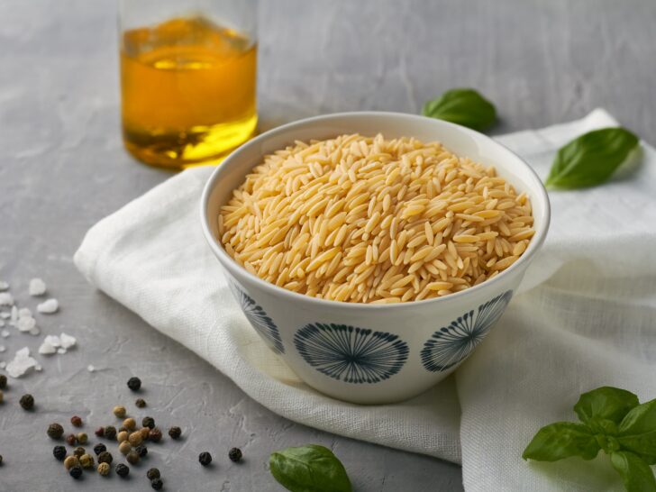 15 Best Orzo Substitutes