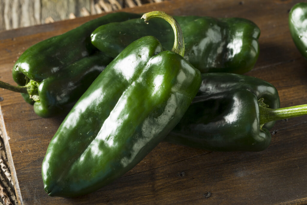 Raw Poblano peppers.  These make a great all around substitute for Anaheim peppers.