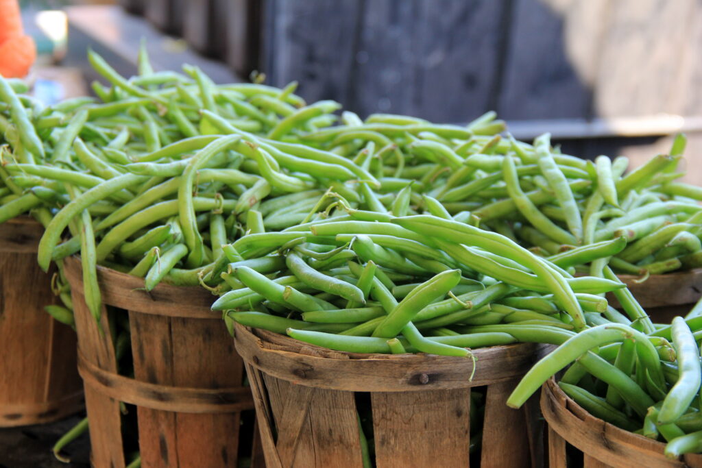 Baskets of fresh green beans