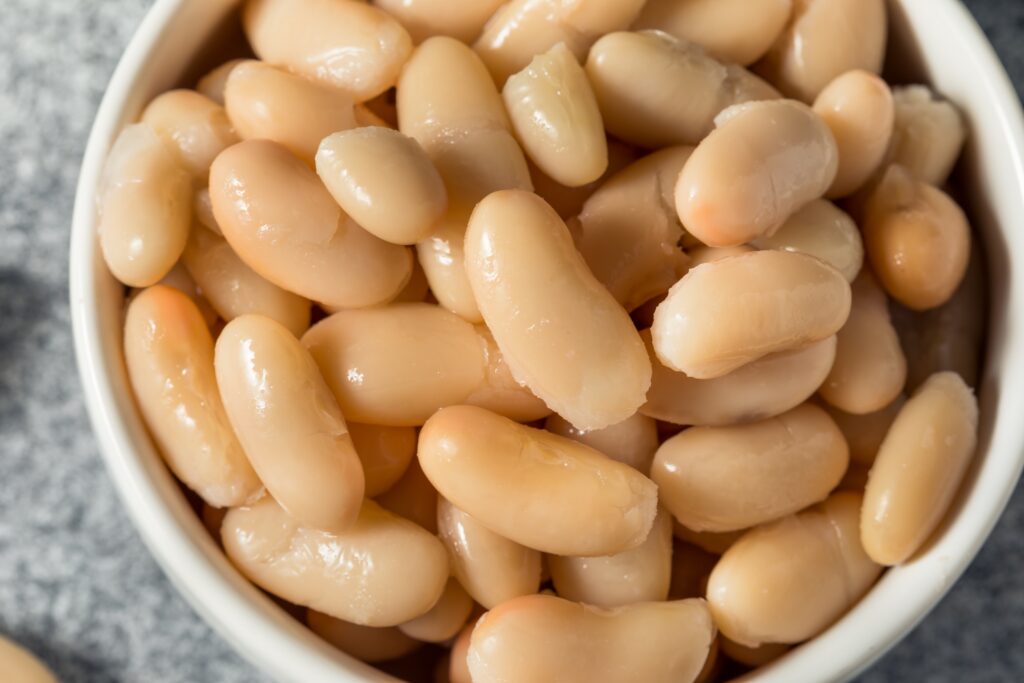 Close up shot of Cannellini beans in a white bowl.  This is one of the best chickpea substitutes due to its similar size, texture and taste.