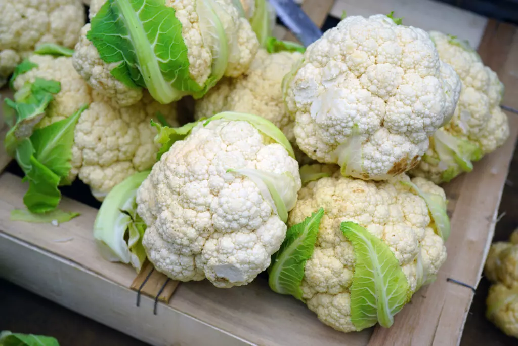 Close up of a bin of cauliflower heads.  Adding pureed cauliflower is a healthy way to thicken Alfredo sauce. 