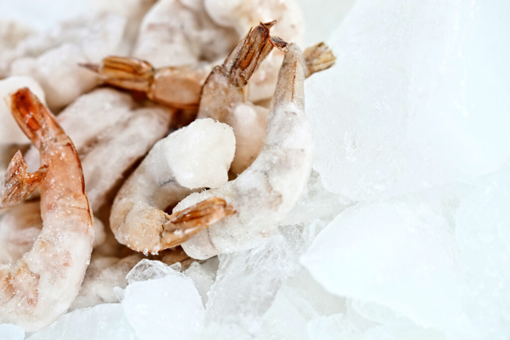 Close up of frozen shrimp.  Shrimp can be frozen and can last up to one year.