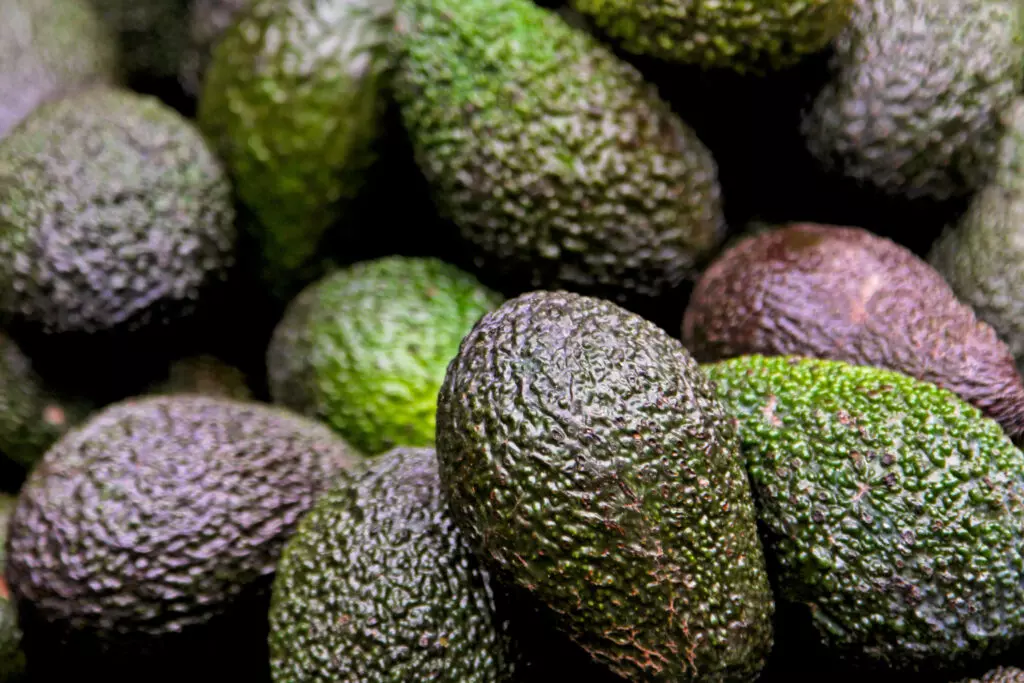 Grouping of avocados with varying levels of ripeness.