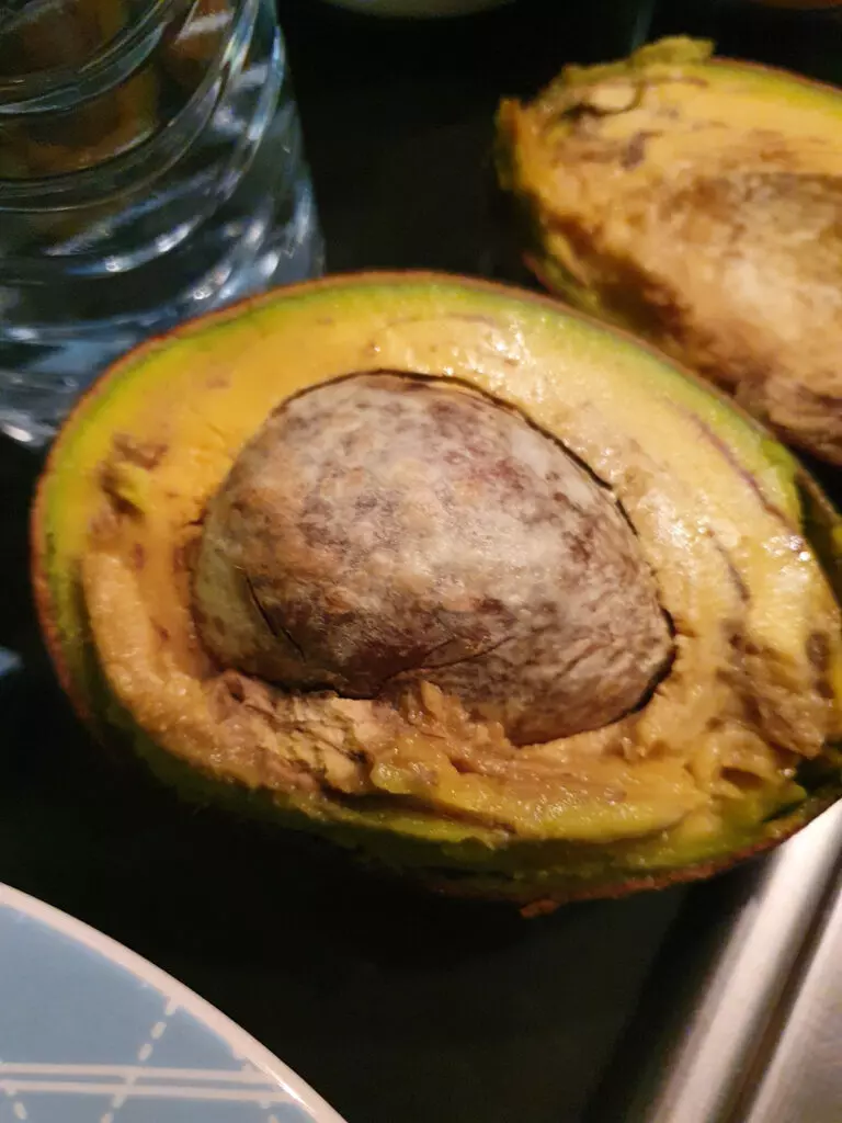 Close up of an overripe avocado.  Looking at the color of an avocado is one way to determine if an avocado has gone bad. 