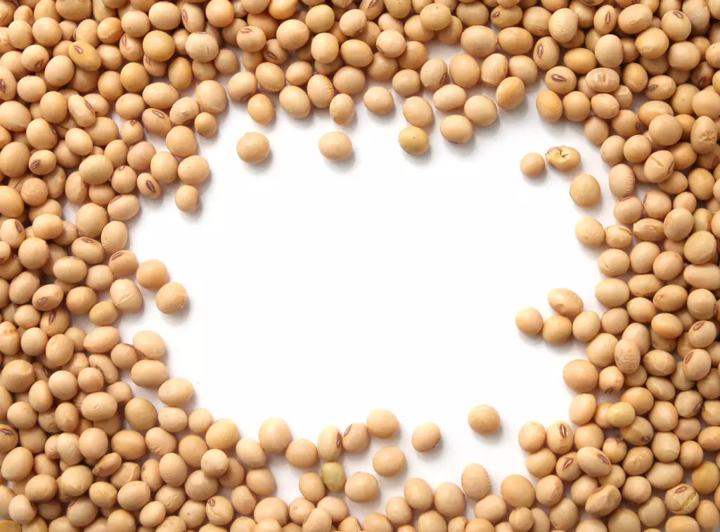 Soy beans with a white background.  Though soy beans contain a more mild flavor, they will work as an alternative to chickpeas in soups, stews and curries.