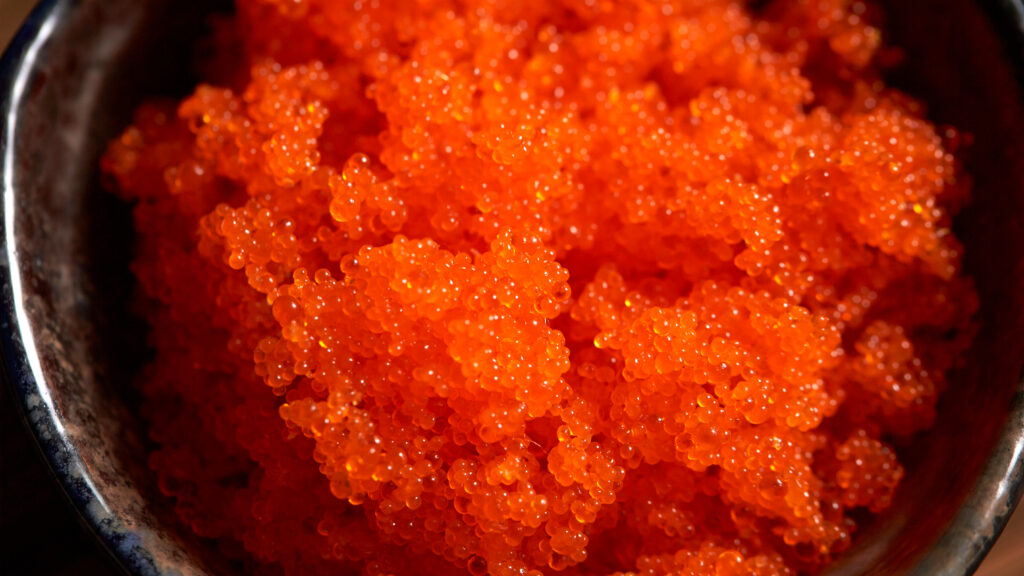 Close up of tobiko.  These eggs give Boston Rolls their signature color, a crunchy texture and slightly salty taste.