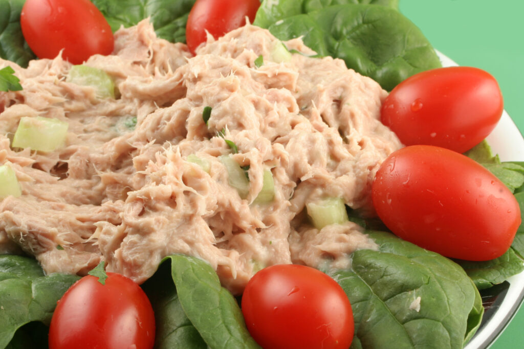 Close up of tuna salad on lettuce with tomatoes.