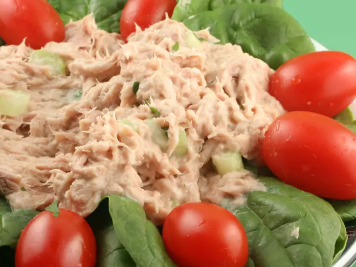 How Long Does Tuna Salad Last?  All Your Questions Answered
