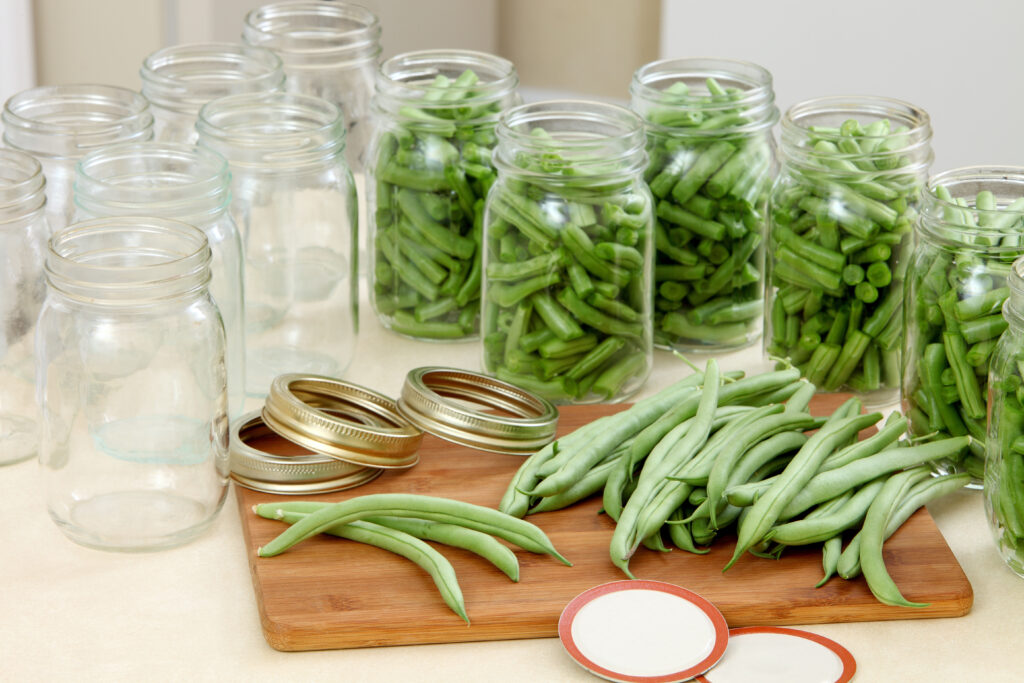 Green beans being canned in jars.  I personally prefer freezing green beans instead of canning