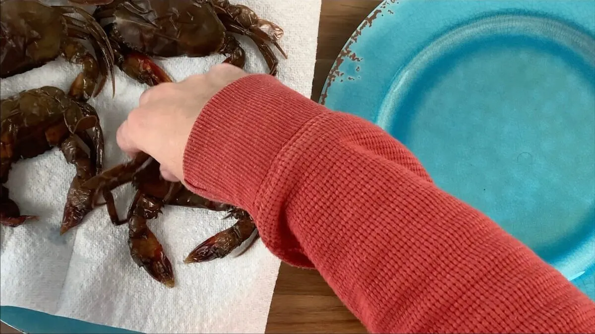 Dry soft shell crabs with paper towel.  This prevents them from popping in the batter. 