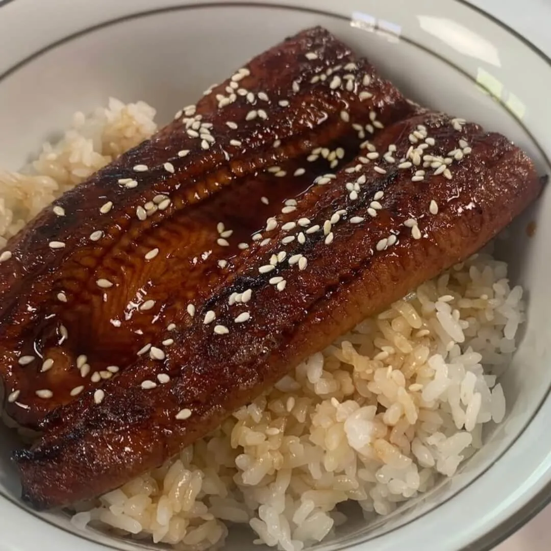 Close up of unagi don in a Japanese bowl.